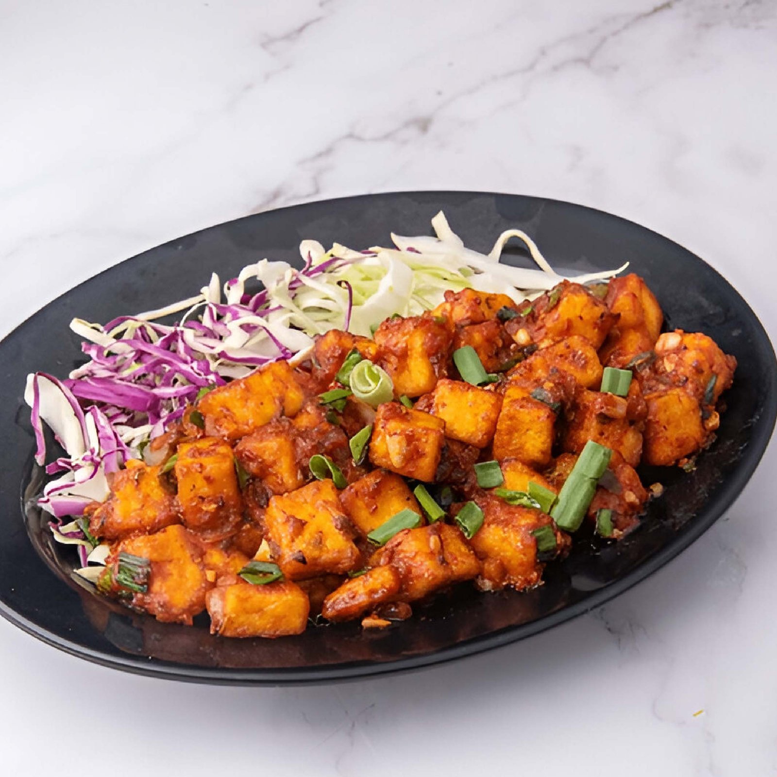 PANEER 65-01